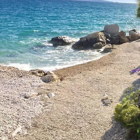 Dalmatino