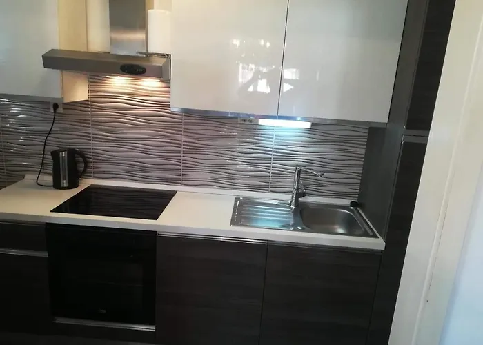 Dalmatino * 스플리트